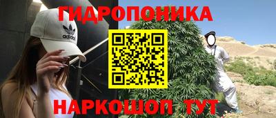 стаф Заводоуковск