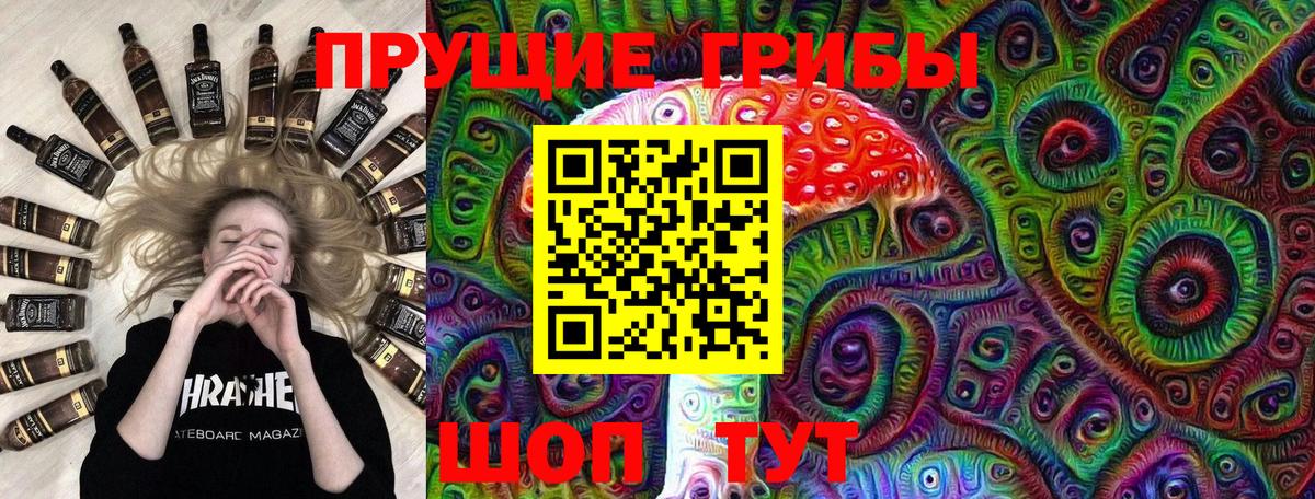 Псилоцибиновые грибы Psilocybe Нижнеудинск